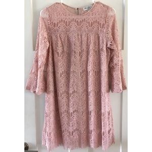 💕Lots of Love Speechless blush Pink Lace Dress